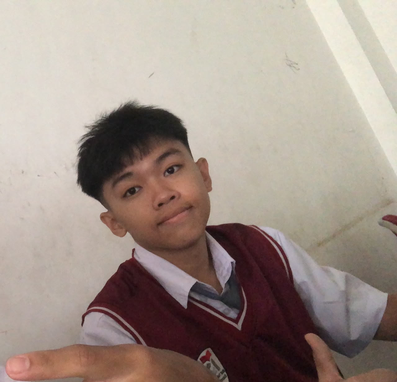 joshua Maximillian Wijaya